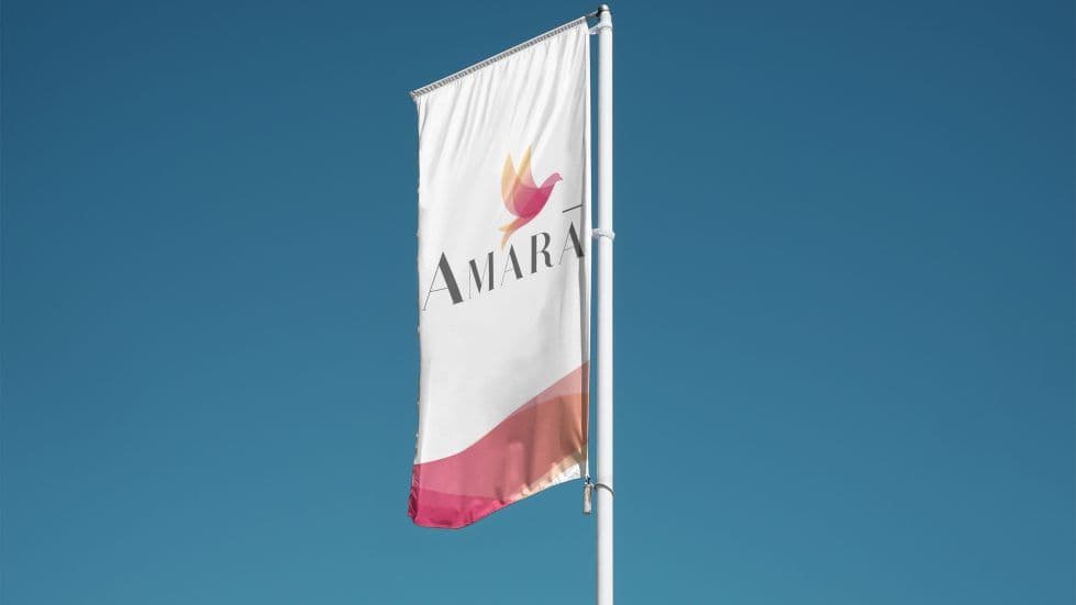 Embassy Amara