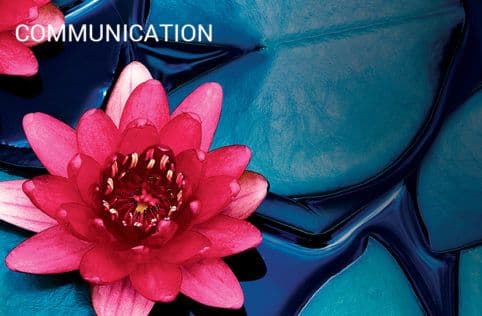 COMMUNICATION
