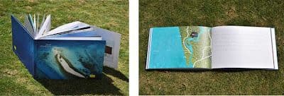 VGC wins International Property Award for Nitesh Fisher Island — image 1