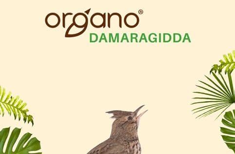 Organo
