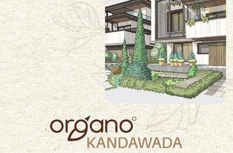 Organo
